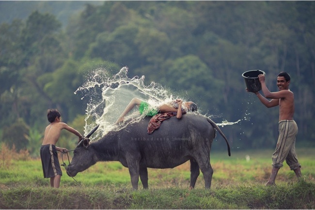 Water Splash