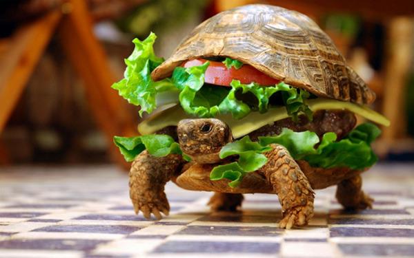Hungry anyone? Hungry anyone?