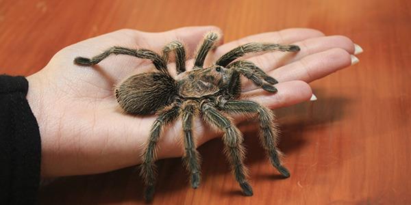Cute pets!