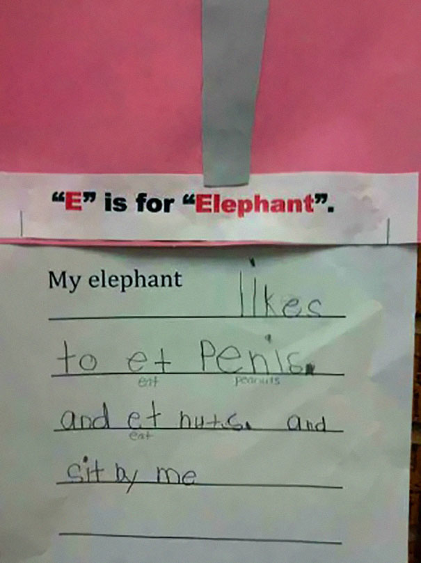 elephants like what