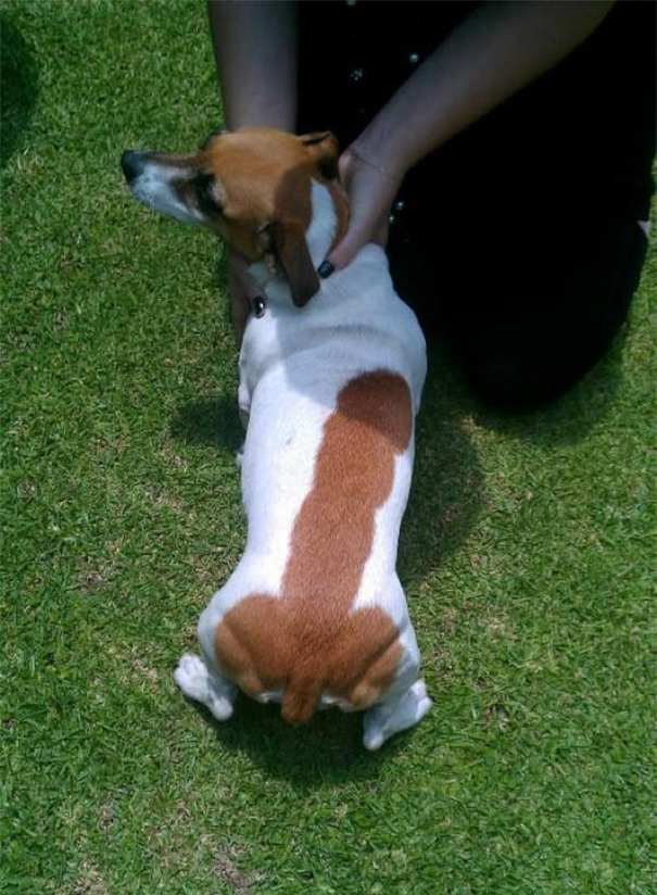 Interesting Pattern